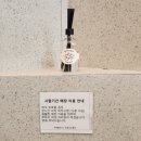 세븐일레븐 부산화명코오롱점 | 화명동 카공하기 좋은 카페 투썸플레이스 부산화명코오롱점