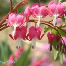 머리풍경 이미지