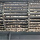 윈드크린 이미지