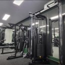 가오짐 피티샵 이미지