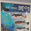 Re:푸르른봄날 이벤트맛,칼,션,복국~ 이미지