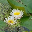 푸른영농조합법인 이미지