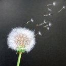 소박농장 이미지