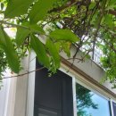 세원느티마을 이미지