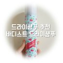 바디스트 이미지