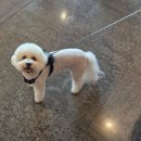 신명셀프세차 이미지