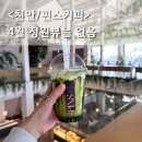 핀스커피 | 천안 핀스커피 정원이 있는 대형카페 핑크뮬리 명소...지금은 아무것도 없는 4월 풍경 택시이동 후기