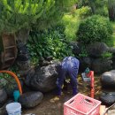 연못가든 이미지