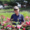 태릉입구역 8번출구 이미지