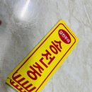 송전중학교 이미지