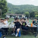 스테이자유 이미지