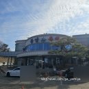 고구마짐 | 화성 율암온천 참숯가마 솔직후기 고구마굼터 알칼리온천욕 경기도 찜질추천