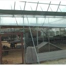 야곱축사 이미지