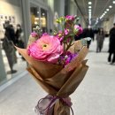 사라스가든