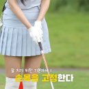 버디버디A 이미지