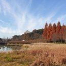 물빛근린공원 이미지