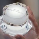 뉴월드관광㈜ 이미지