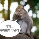 밀땅 휘트니스 이미지