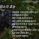 송백 흑염소 이미지