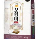 (주)이몰엔 이미지