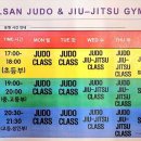 용인대일산유도체육관 - 고양시 일산동구 숲속마을1로 71 | 용인대일산유도체육관
