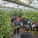 제주감귤농업협동조합안덕지점 이미지