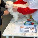 멍더캐슬 이미지