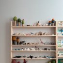 무지개 사슴농장 이미지