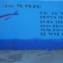 어류도감 이미지