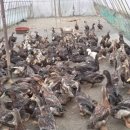 시골쉼터 이미지