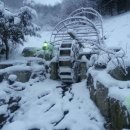 챔피언펜션 이미지