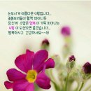 수님 Daum카페