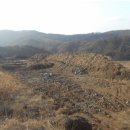 동남목장 이미지