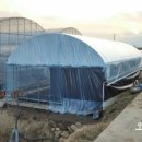 오가네 농장 이미지