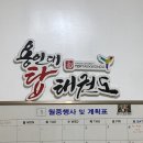 용인대케이탑태권도