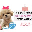 긴자료코청주 - 청주시 흥덕구 대농로 49 | 긴자료코청주