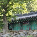 불주사 - 636 | 불주사