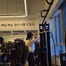 탑바디핏