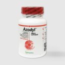 금호동동물약국 이미지