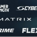 바이칼휘트니스 이미지