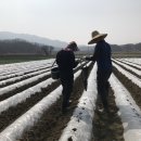 광전농장 이미지