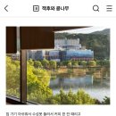 서울영일초등학교 | 결혼식이 풍년이여라