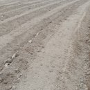 땅끝농장 이미지