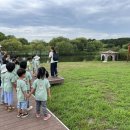[7월3주] 🦆다정반 을숙도에코센터 견학🦢 이미지