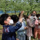 드림빌사과테마공원마을 이미지