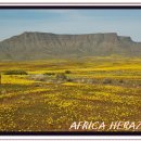 나비농장 이미지