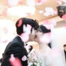 레터스 프롬 플라워
