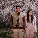 너는내운명 이미지