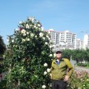 인영상사 이미지