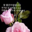 만남 이미지